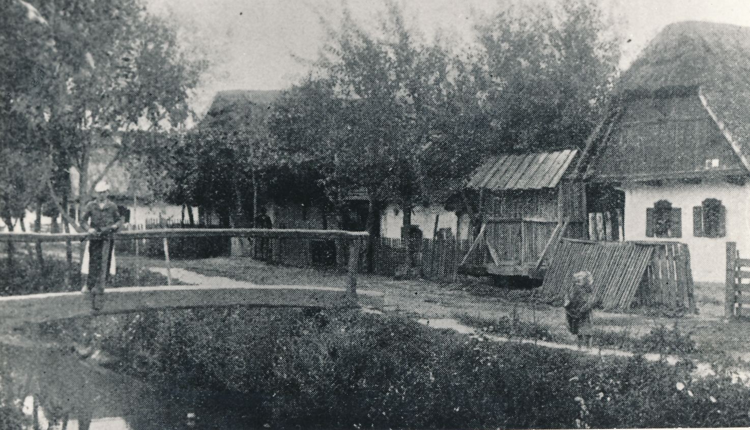 eika image